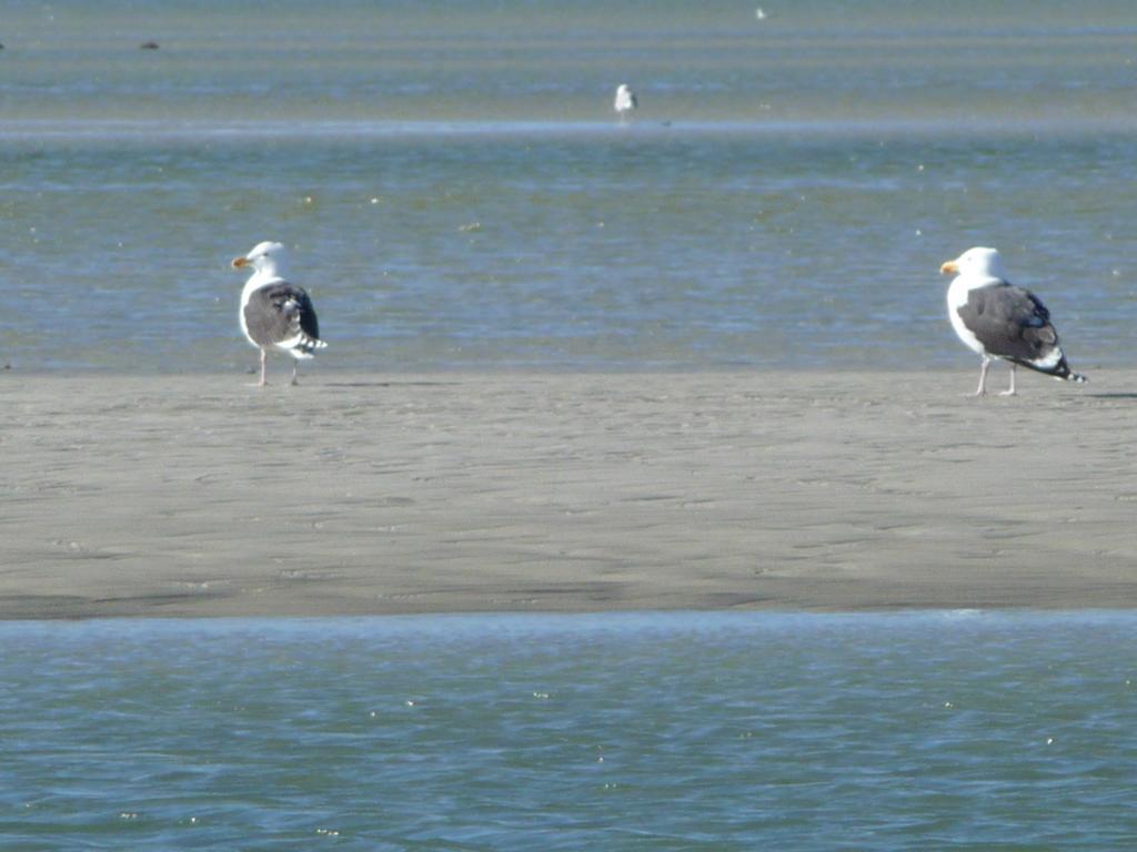 The Whalewalk Inn & Spa Eastham Buitenkant foto